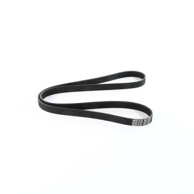 V-Ribbed belt