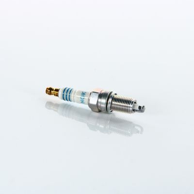 Spark plug